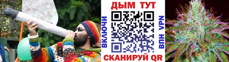Бошки Шишки SATIVA & INDICA  где купить наркоту  Белоярский 